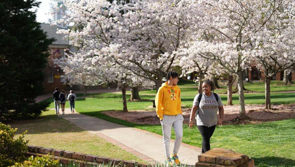 Multiple students walk on the Converse campus while a spring tree flowers in the background.